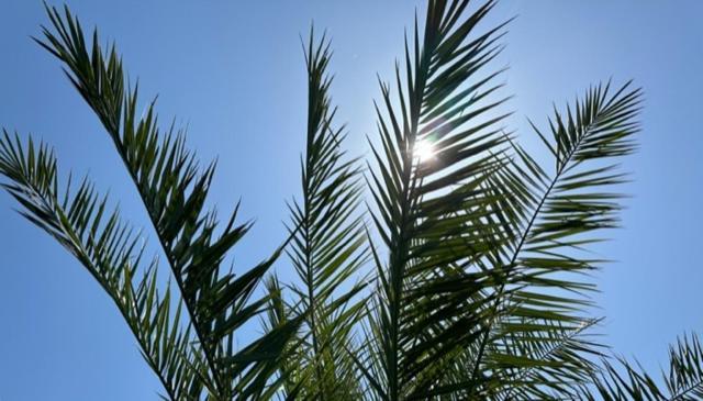 L'Arbre Qui Chante Saint-Etienne-de-Sermantin Zewnętrze zdjęcie
