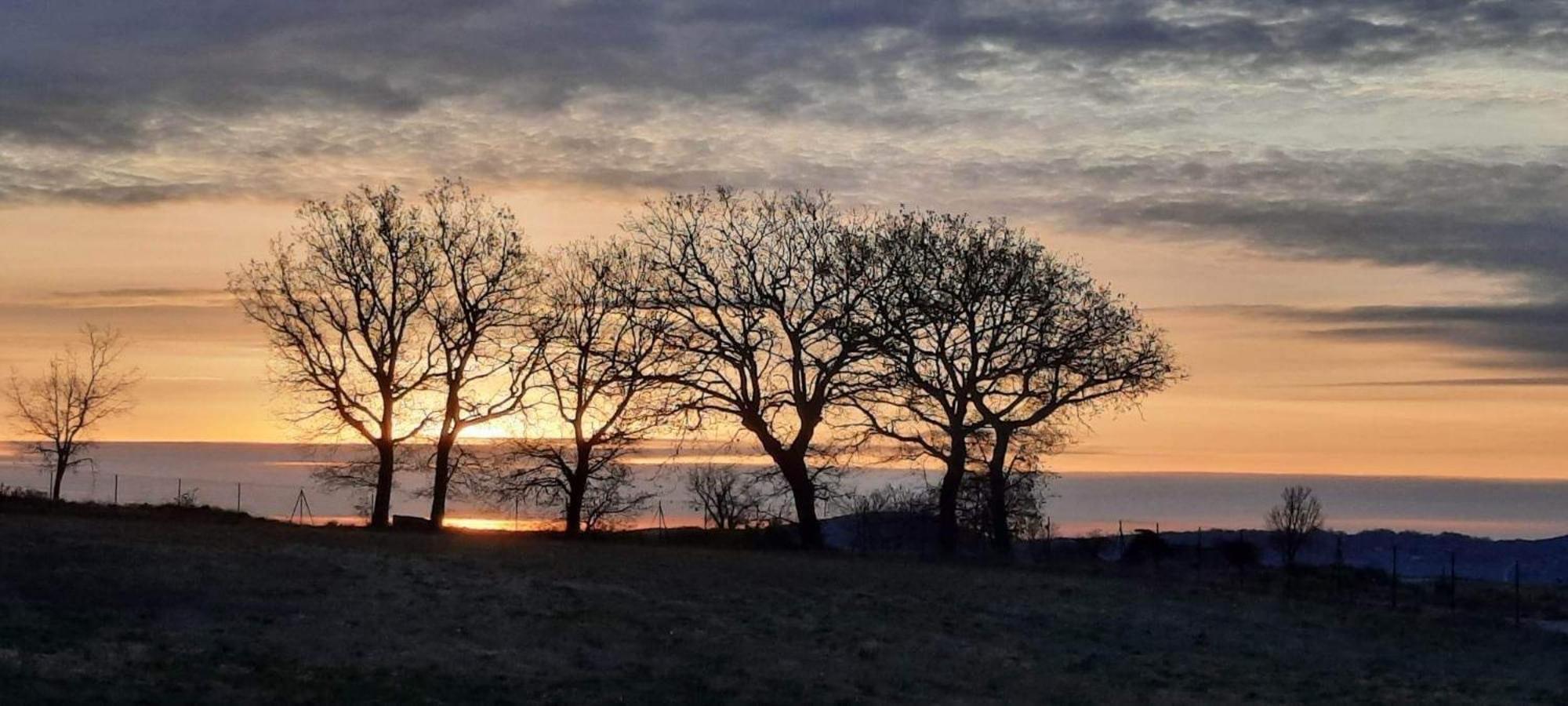 L'Arbre Qui Chante Saint-Etienne-de-Sermantin Zewnętrze zdjęcie